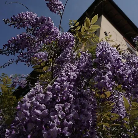Bed & Breakfast Antica Dimora I Faggi Di San Giorgio 3*